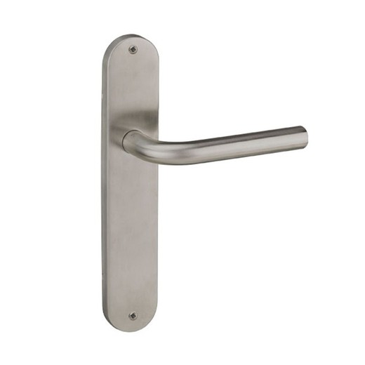 Manilla Puerta Con Placa Tornillo 45x245 Mm Inox