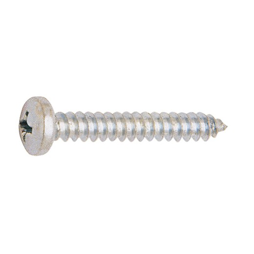 Tornillo Chapa Cincado  Din 7981 4,8x50 Mm.