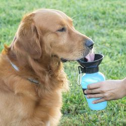 Botella Bebedero Mascotas Innovagoods
