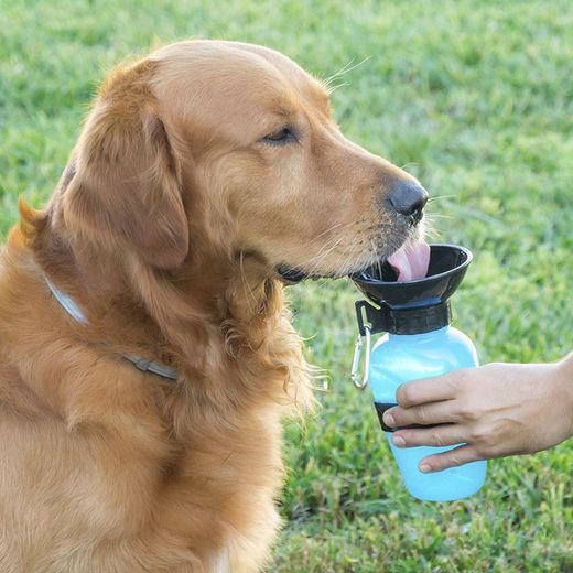 Botella Bebedero Mascotas Innovagoods