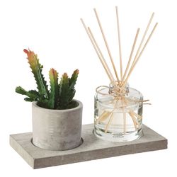 Caja Aromas + Planta 20X10 Cm.