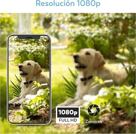 Cámara seguridad inteligente 1080p Dalia - Exterior con Placa Solar