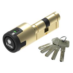 Cilindro Cp Con Alarma 40+30 Laton