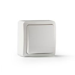 Conmutador Superficie 10A-250V