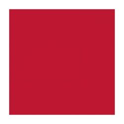 Display 12 Packs 30 Servilletas Rojo