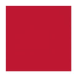 Display 12 Packs 30 Servilletas Rojo