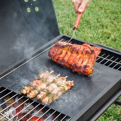 Esterilla Para Horno Y Barbacoa.