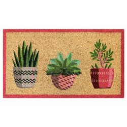 Felpudo Coco Blanco Macetas 40x70 Cm.