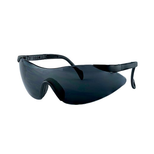 Gafas Protec.Brisa Varillas Ext.Neg