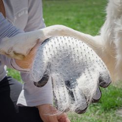 Guante P/Cepillar Y Masajear Mascotas