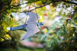 Halcon Volador Antipajaros