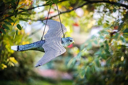Halcon Volador Antipajaros