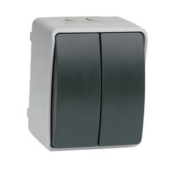 Interruptor / Conmutador Doble Gris