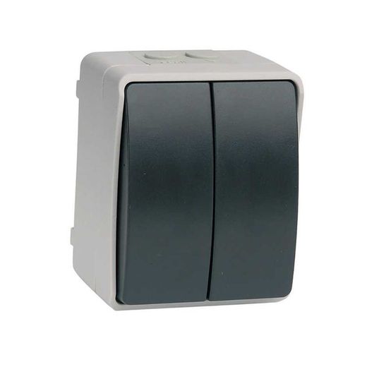 Interruptor / Conmutador Doble Gris