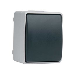 Interruptor / Conmutador Gris