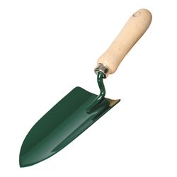 Palita Ancha 29x8cm.Lista