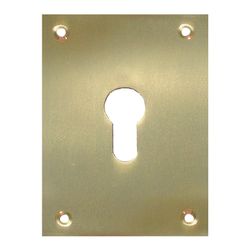 Placa Bocallave 2 Unidades 100x70mm Lat.Pulid