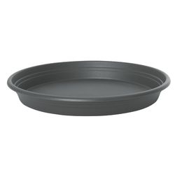 Plato Universal Color Antracita 25Cm Ø
