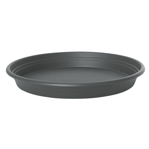 Plato Universal Color Antracita 25Cm Ø
