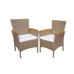 Sillón Modelo Tahití de Ratán/Acero/Madera. 2 Uds