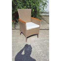 Sillón Modelo Tahití de Ratán/Acero/Madera. 2 Uds