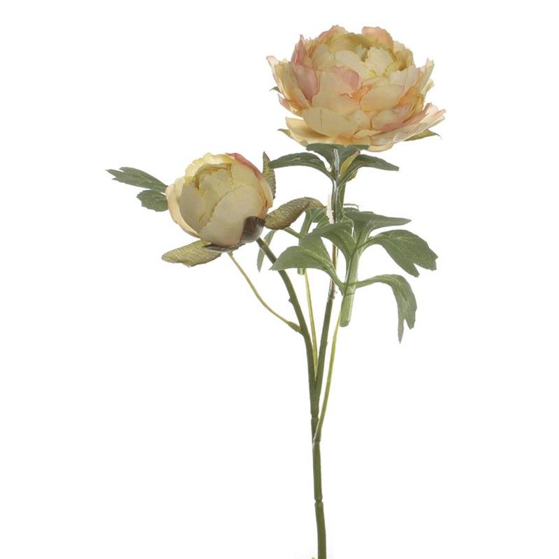 Vara Ranunculo X 2 Amarillo