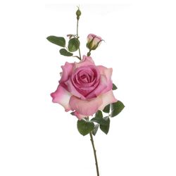 Vara Rosa Alicia Fucsia